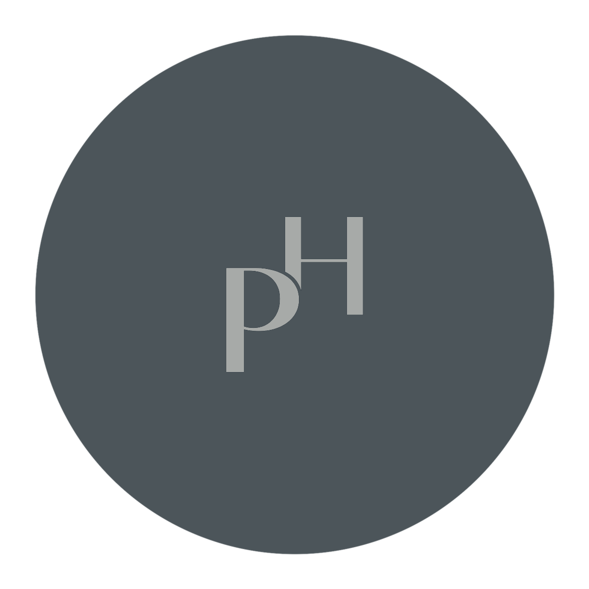 Graphite disc · silver mark